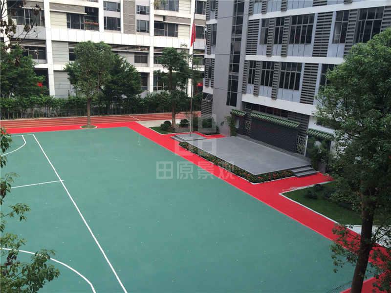 体育东小学力迅校区
